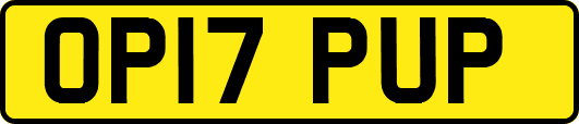 OP17PUP