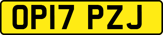OP17PZJ