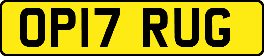 OP17RUG