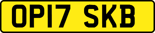 OP17SKB
