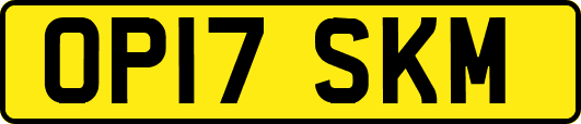 OP17SKM
