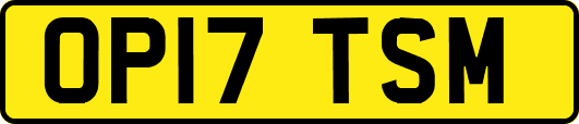 OP17TSM