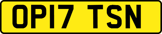 OP17TSN