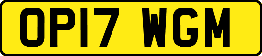 OP17WGM