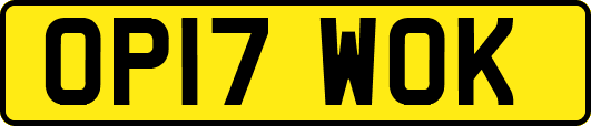 OP17WOK