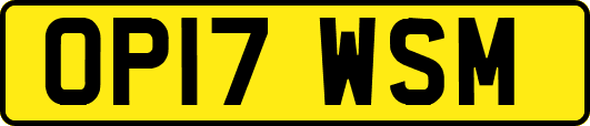 OP17WSM