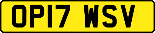 OP17WSV