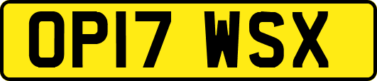 OP17WSX