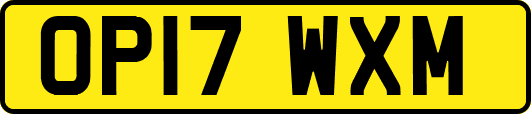 OP17WXM