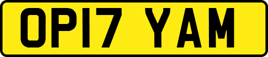 OP17YAM