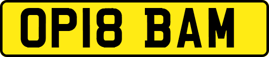 OP18BAM