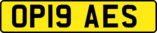 OP19AES