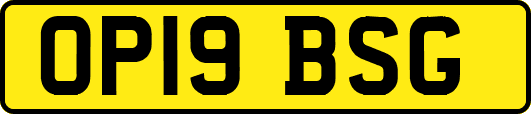 OP19BSG