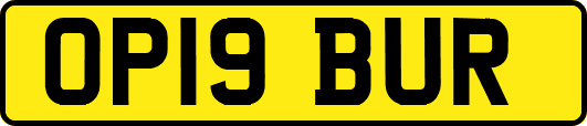 OP19BUR