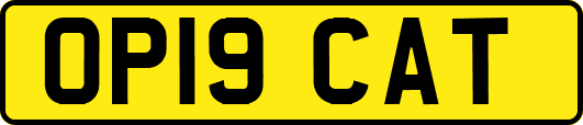 OP19CAT