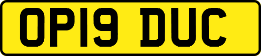 OP19DUC