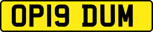 OP19DUM
