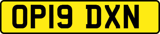 OP19DXN