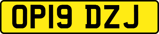 OP19DZJ