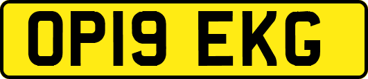 OP19EKG