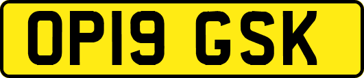 OP19GSK
