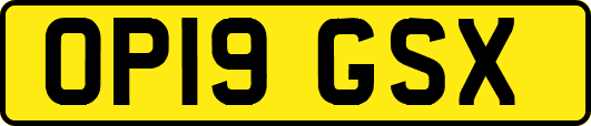 OP19GSX