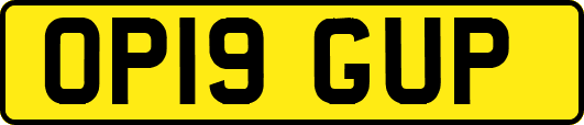 OP19GUP