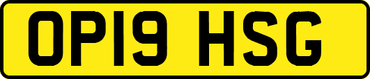 OP19HSG