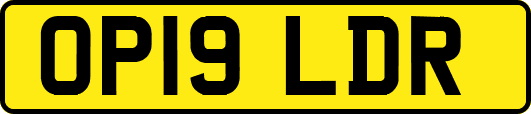 OP19LDR