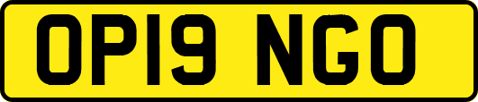 OP19NGO