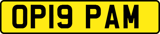 OP19PAM