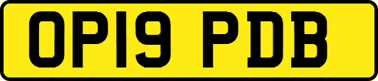 OP19PDB