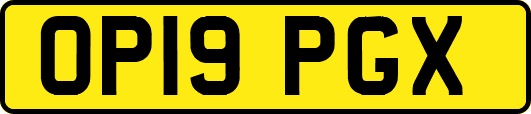 OP19PGX