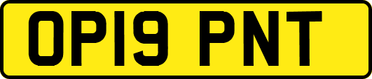 OP19PNT