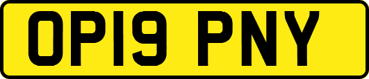 OP19PNY