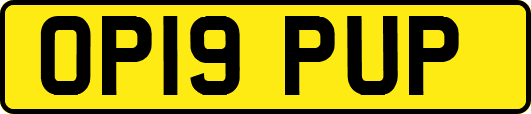 OP19PUP