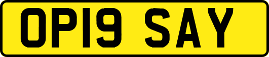 OP19SAY
