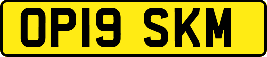 OP19SKM