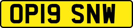 OP19SNW