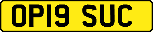 OP19SUC