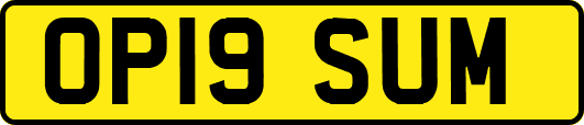 OP19SUM