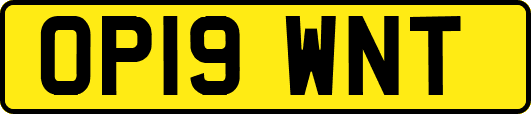 OP19WNT