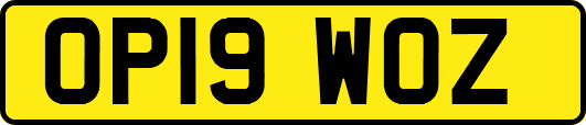 OP19WOZ