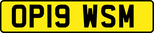 OP19WSM