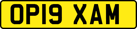 OP19XAM