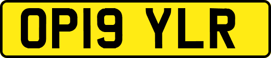 OP19YLR