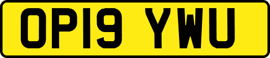 OP19YWU