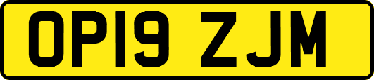 OP19ZJM