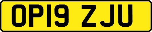 OP19ZJU