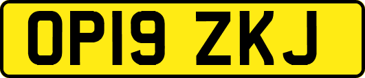OP19ZKJ